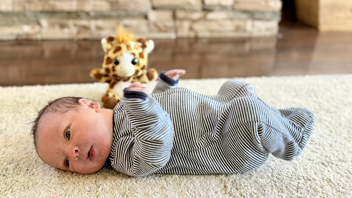 BenThePCGuy's tweet photo. I highly recommend getting married, finding your faith, and having as many babies as you can. https://t.co/recGEYNOsn