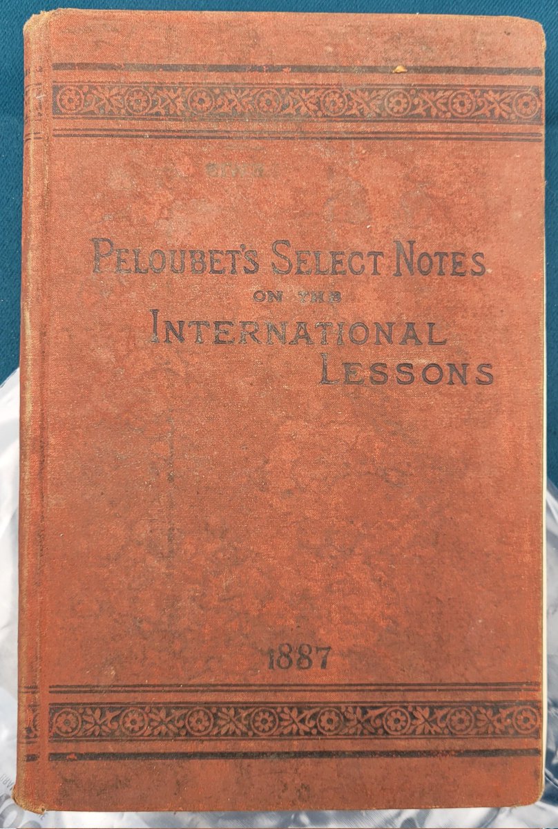 Lust4LifeBam tweet media