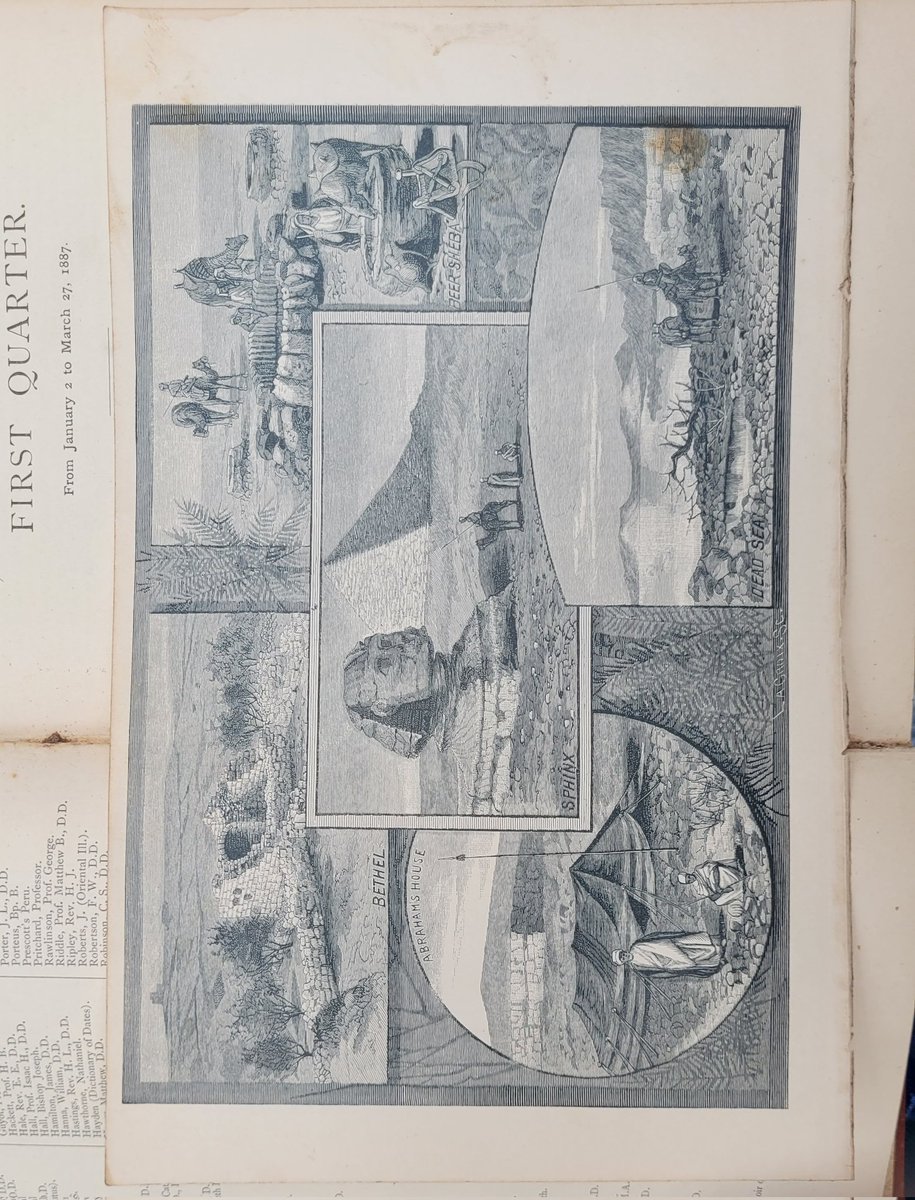 Lust4LifeBam tweet media