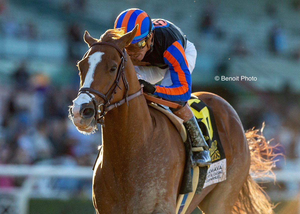 benoitphoto_'s tweet photo. British Isles and jockey Diego Herrera win the Grade I, $300,000 Santa Anita Handicap, Saturday, March 7, 2026 at Santa Anita Park, Arcadia CA,

View all our photos at https://t.co/GRX92DKjLs 

© BENOIT PHOTO https://t.co/Xp5kI77THn