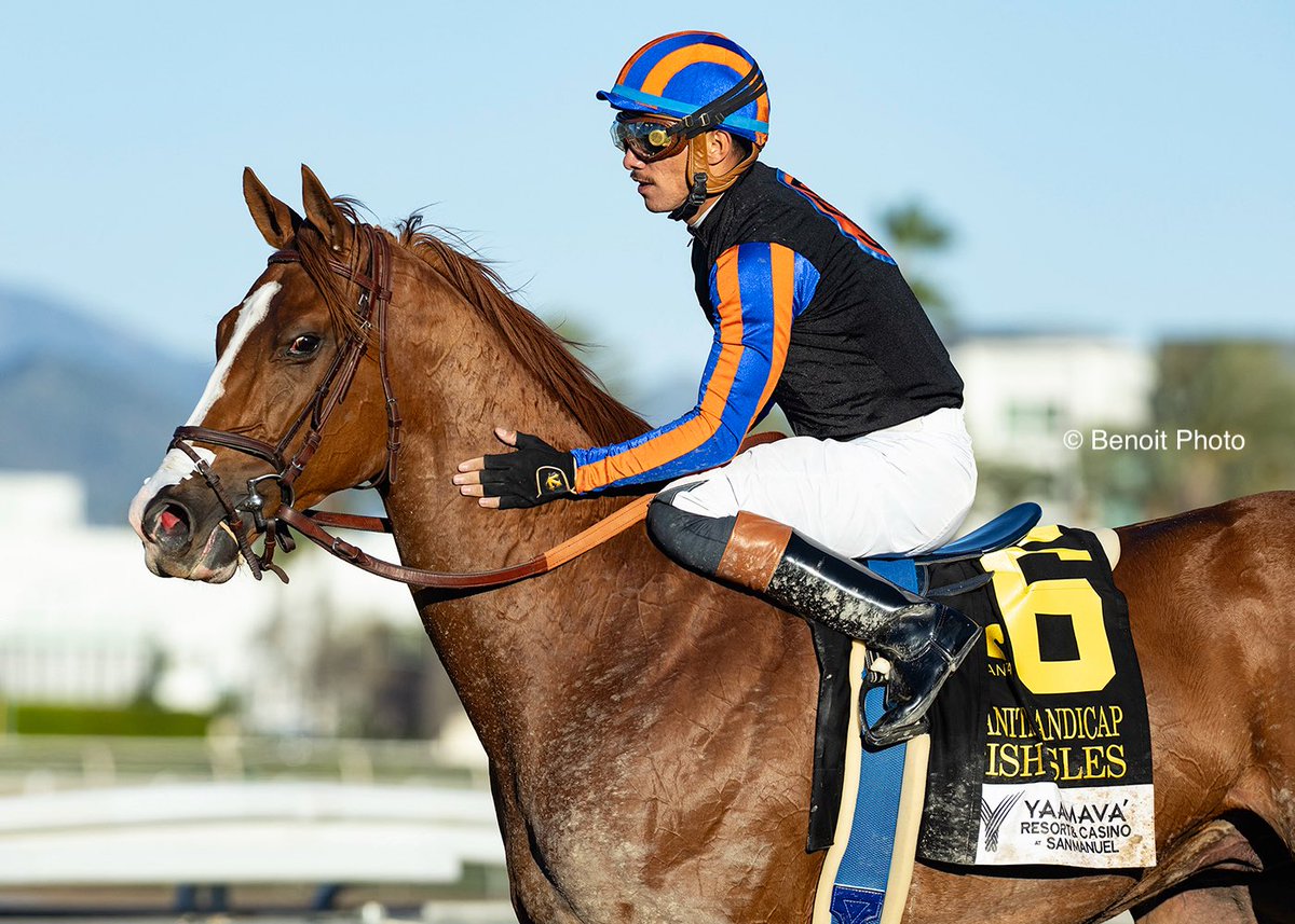 benoitphoto_'s tweet photo. British Isles and jockey Diego Herrera win the Grade I, $300,000 Santa Anita Handicap, Saturday, March 7, 2026 at Santa Anita Park, Arcadia CA,

View all our photos at https://t.co/GRX92DKjLs 

© BENOIT PHOTO https://t.co/Xp5kI77THn