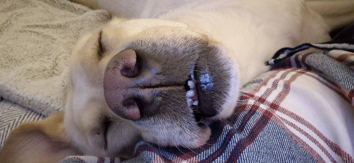 Belfast Col tweet media