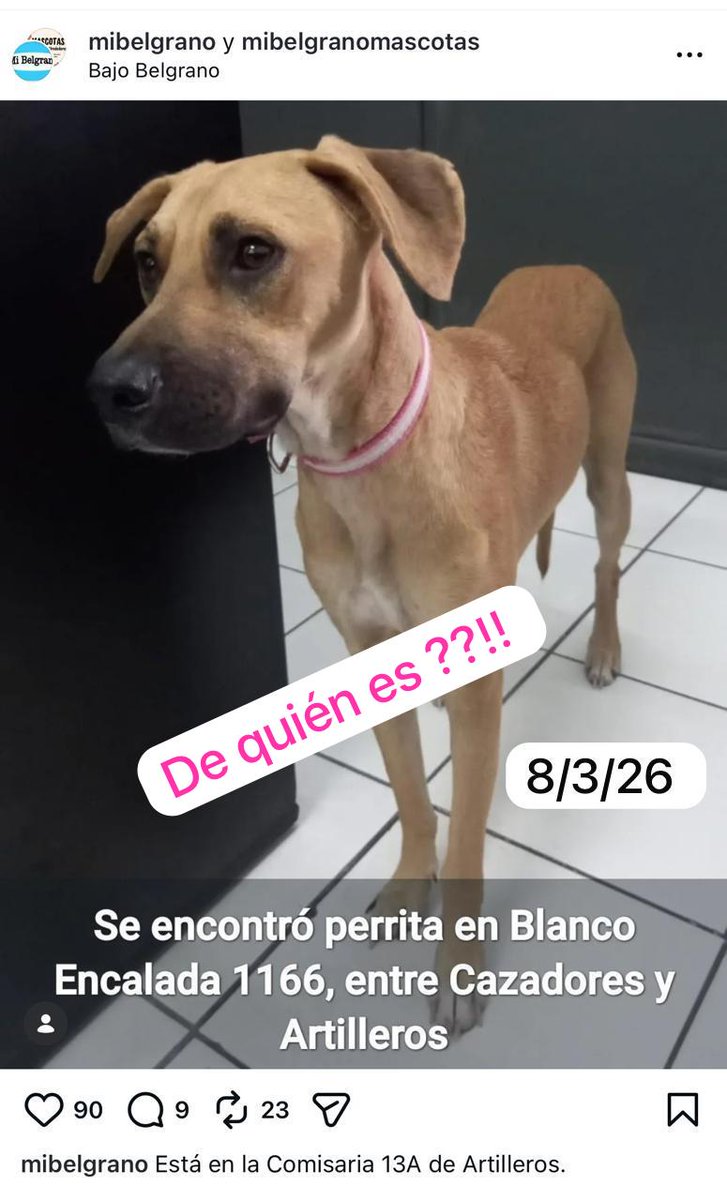 Está en la comisaría de Artilleros
Bajo belgrano