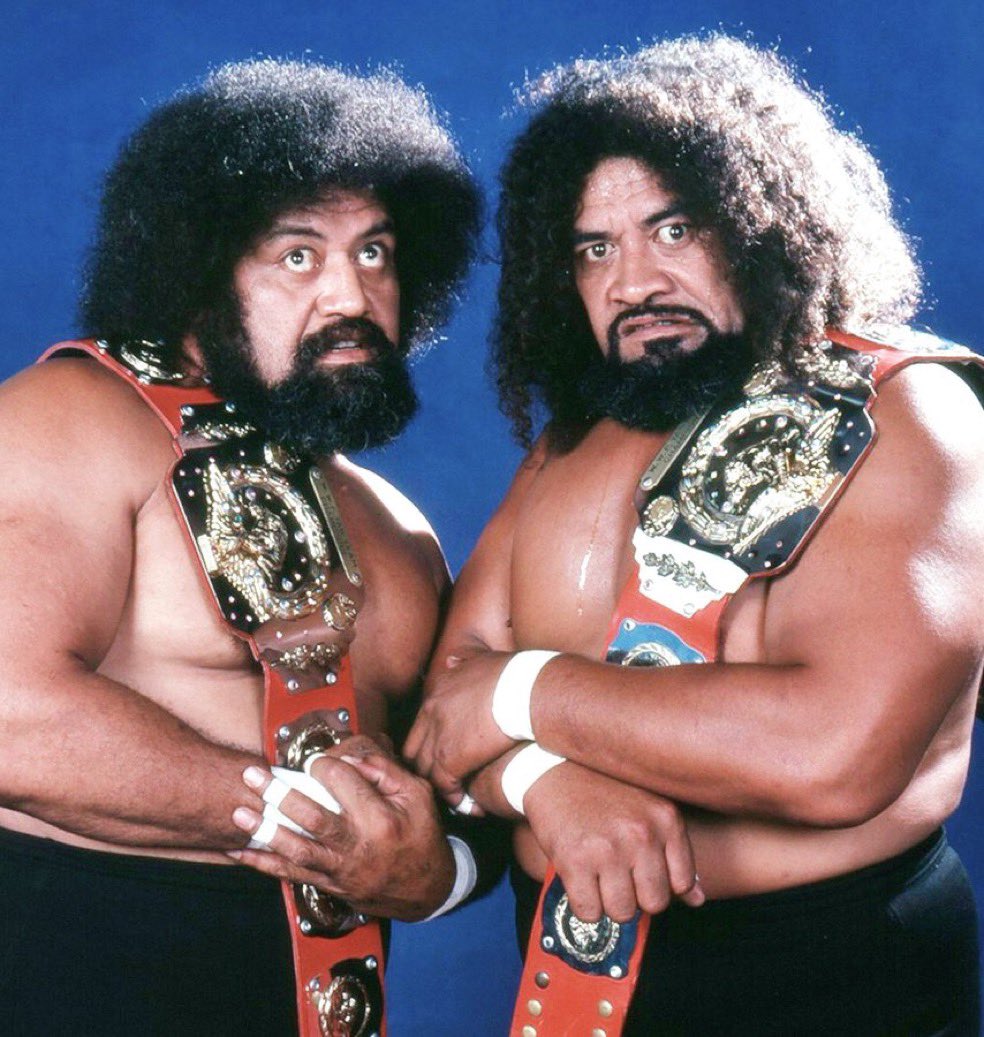 TheDaveDynasty's tweet photo. On March 8, 1983 the #WildSamoans defeated Jules and Jay Strongbow in Allentown, Pennsylvania to win the #WWE tag titles
🛜 https://t.co/ps501STv4r
#Bloodline #WWE https://t.co/5HAHftttzX