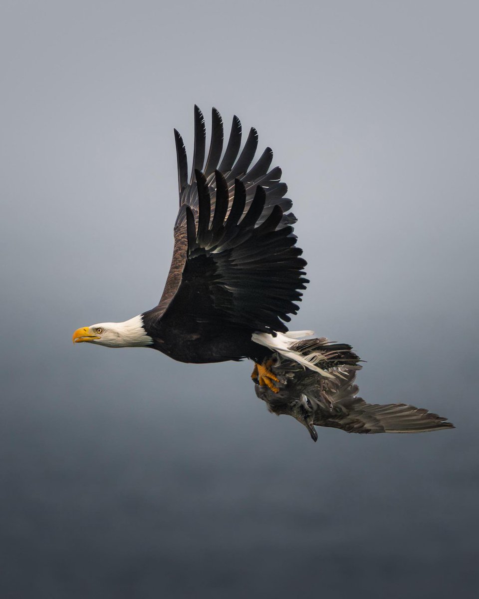 Sony | Alpha tweet media