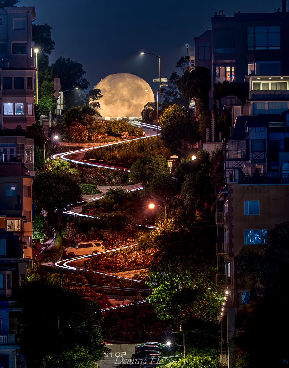 Sony | Alpha tweet media