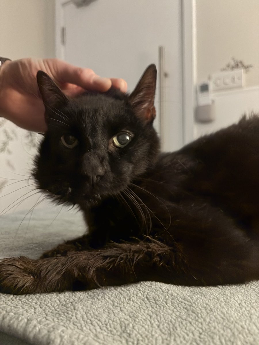 Sidney Valentine 🌈 tweet media