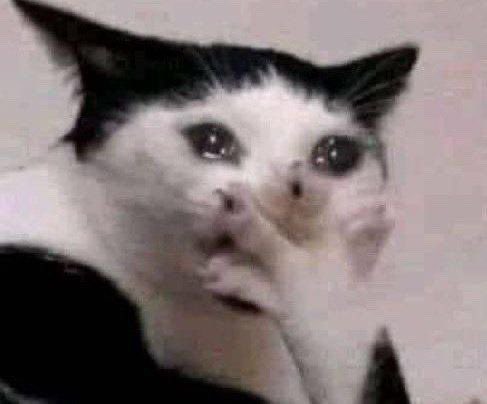 zeppelistars's tweet image. le fait que toute notre vie on va rencontrer des personnes qu’on va aimer, avec qui on va se lier d’amitié etc c vrm trop #ce truc simple qui me fait aimer la vie ….. on a tlm pas fini de croiser des bêtes de chemins mm si c souvent temporaire