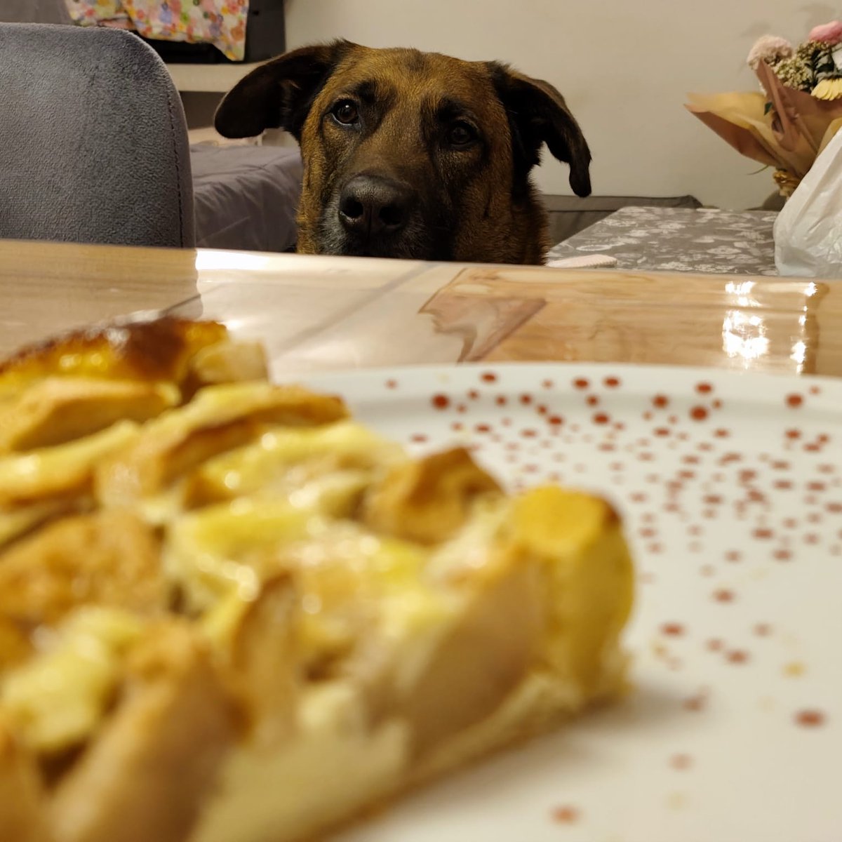 Pascha 🎀 tweet media