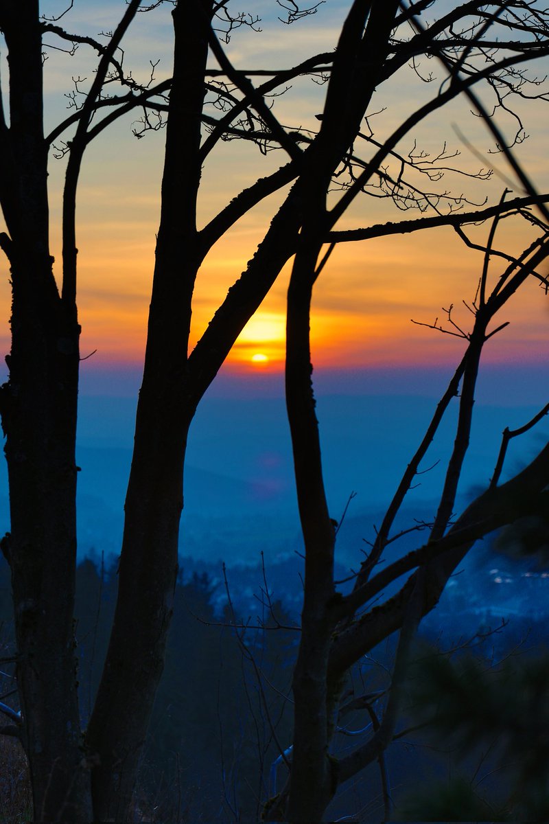 gotz_torsten's tweet photo. 🌜Allen eine wunderbare Gute Nacht und erholsamen Schlaf, um morgen Früh mit ganzer Kraft den eigenen Träumen näher zu kommen. ❤️ Herzlichste Grüße aus dem #Erzgebirge. Blick vom #Scheibenberg oberhalb der #Orgelpfeifen in den #Sonnenuntergang. #sunset #saxony https://t.co/Ken0PJqqQi