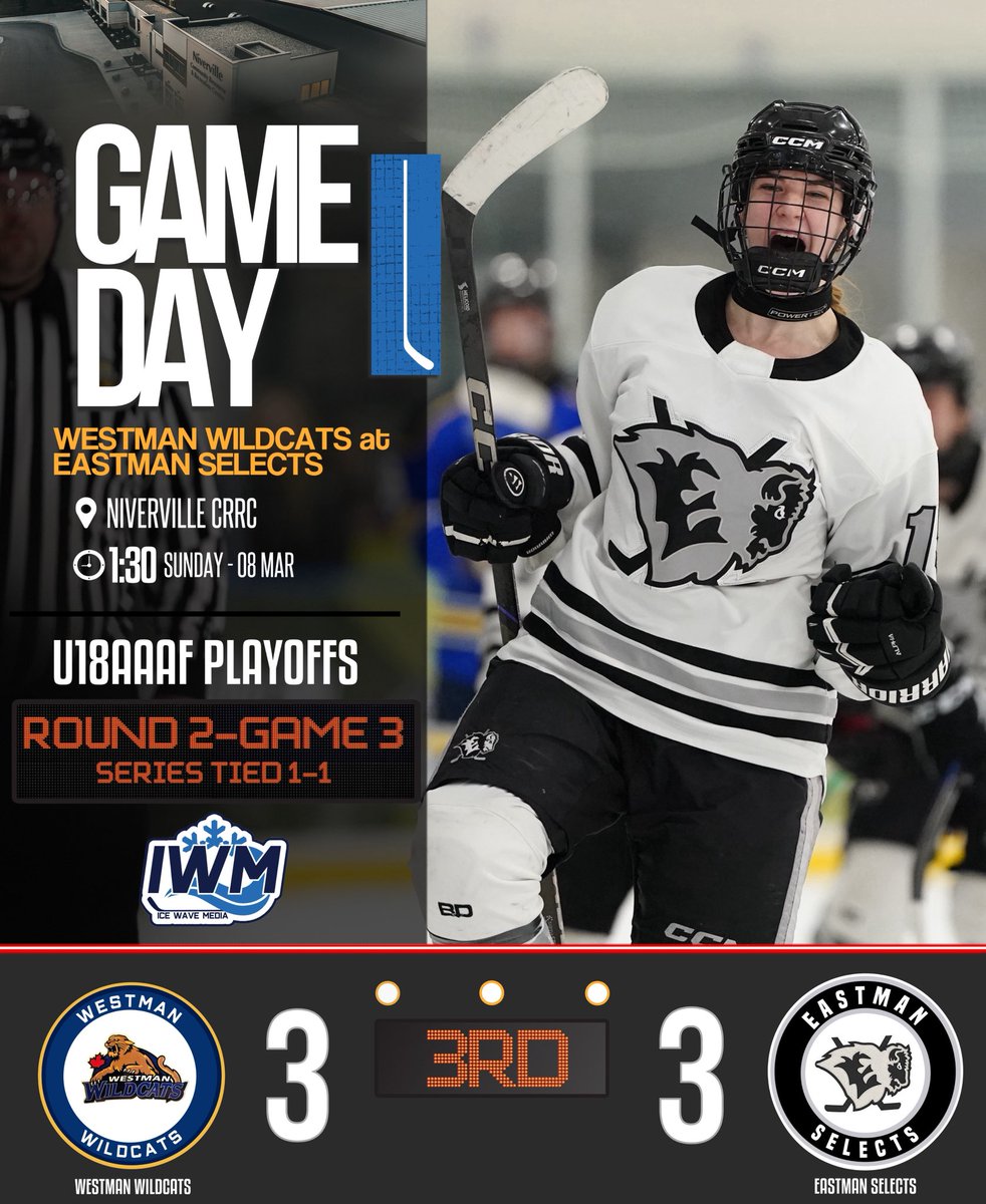 Ice Wave Media 🥅 tweet media