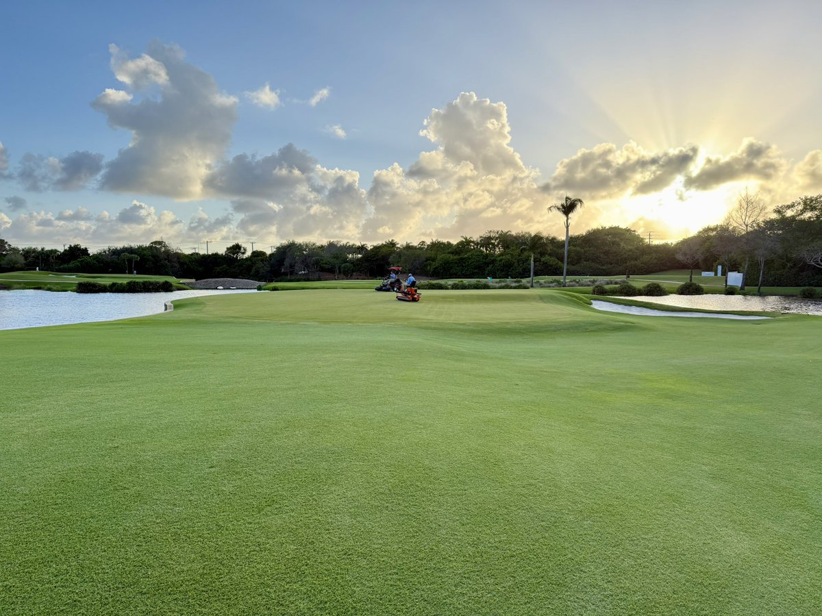 Tim Connolly CGCS tweet media