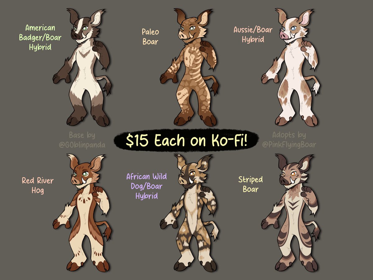 ✨️ Grothe! 🔜 LVFC ✨️ tweet media