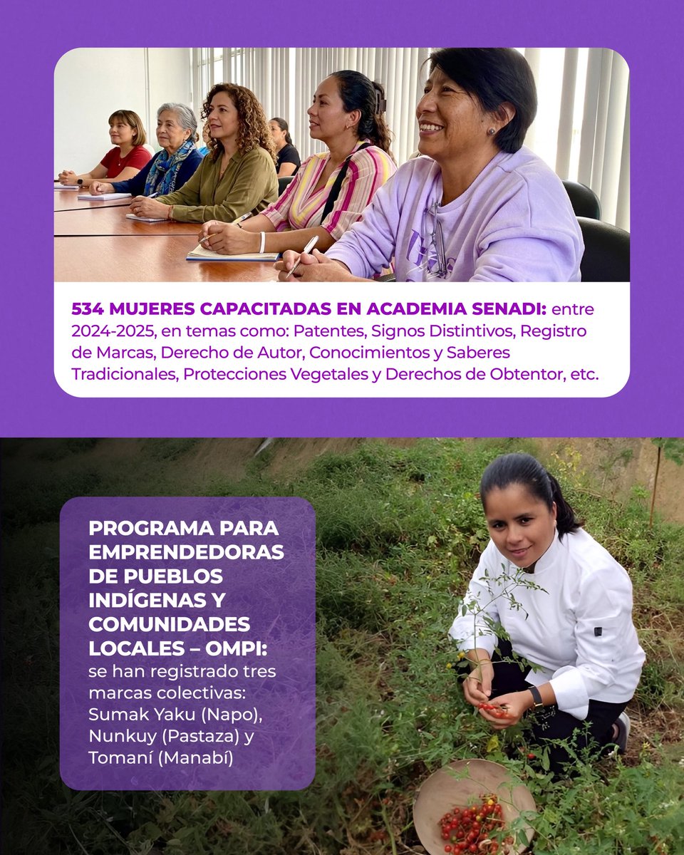 Servicio Nacional de Derechos Intelectuales 🇪🇨 tweet media