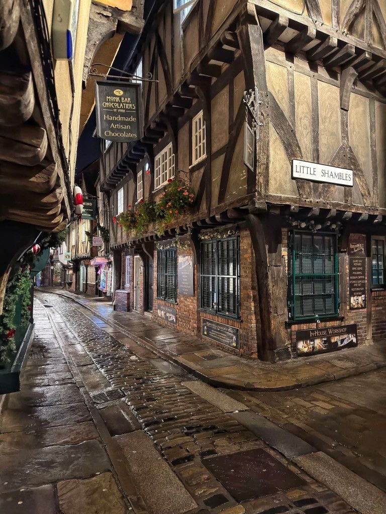 Old World Explorer tweet media