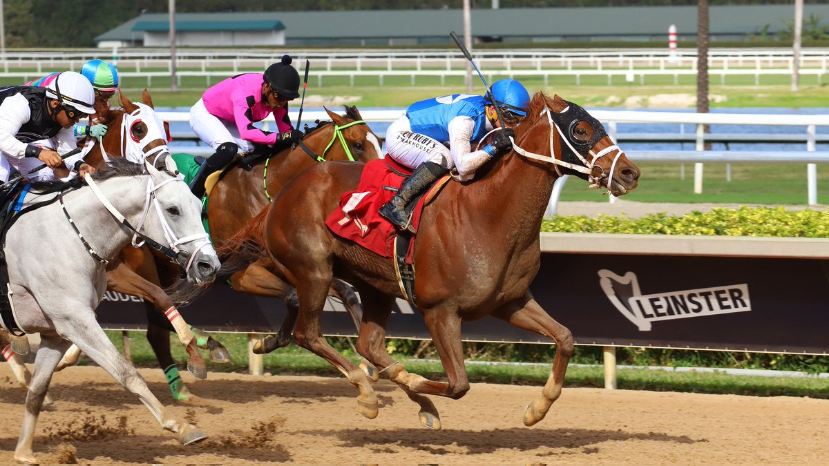 Gulfstream Park tweet media