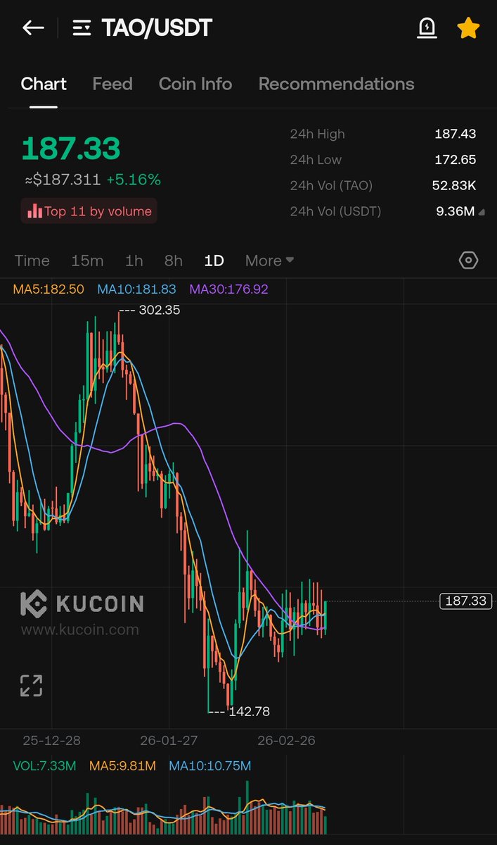 WIZZ🥷 ( beware scammers ) tweet media