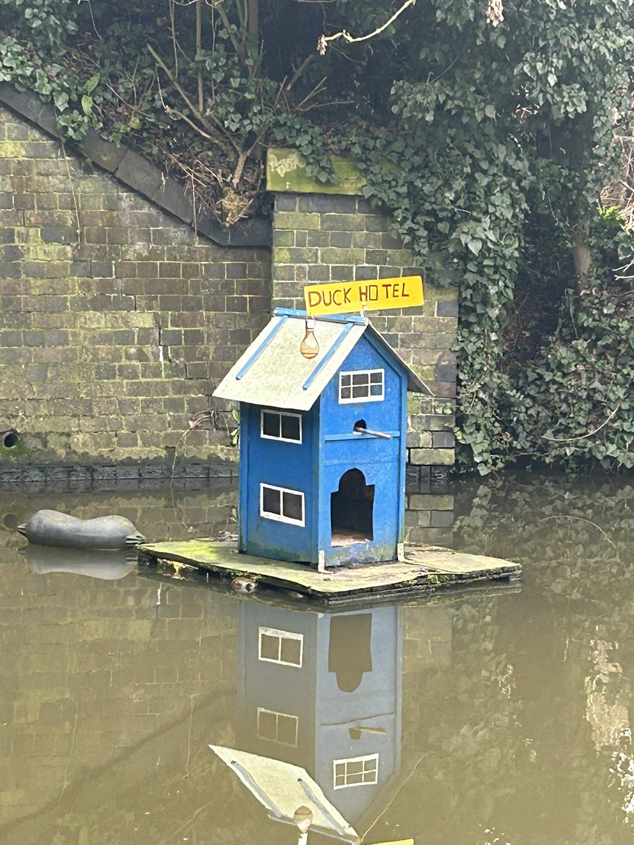 Peter Edwards tweet media