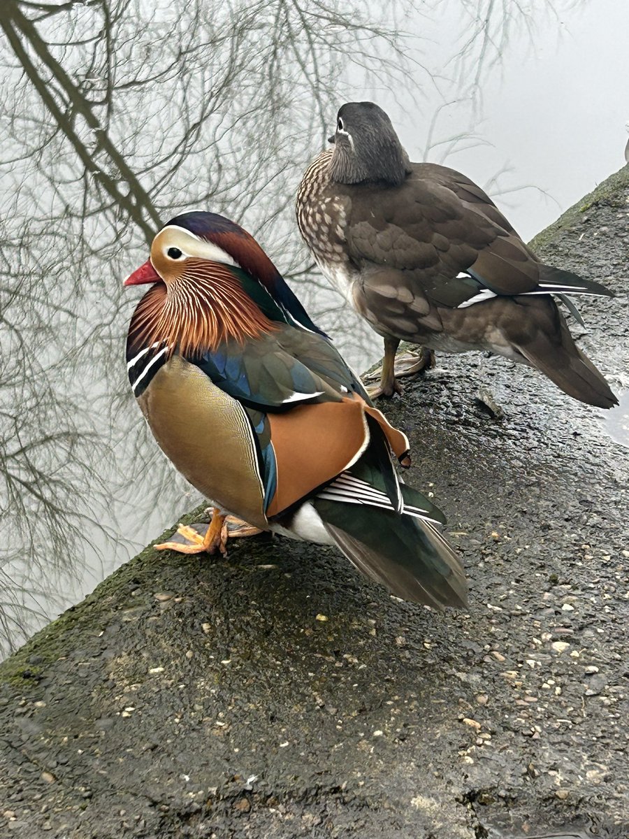 Peter Edwards tweet media