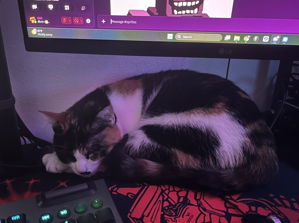 took a pic of my cat sleeping on my desk yesterday :]