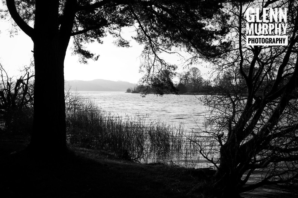 GlennMurphyPhotos tweet media