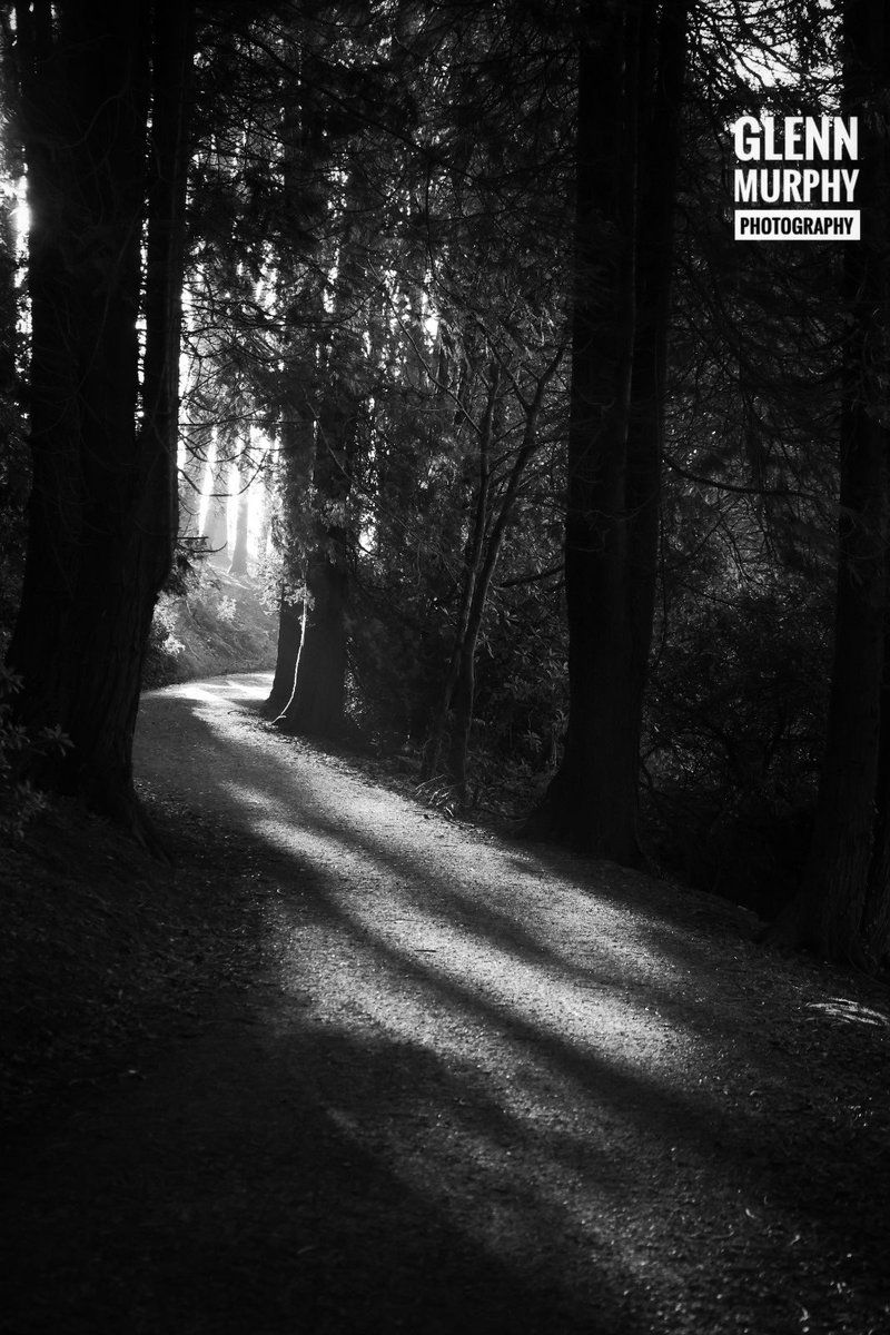 GlennMurphyPhotos tweet media