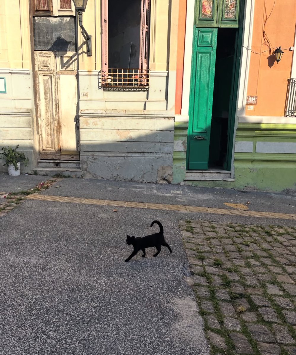 Mauricio Rodríguez tweet media