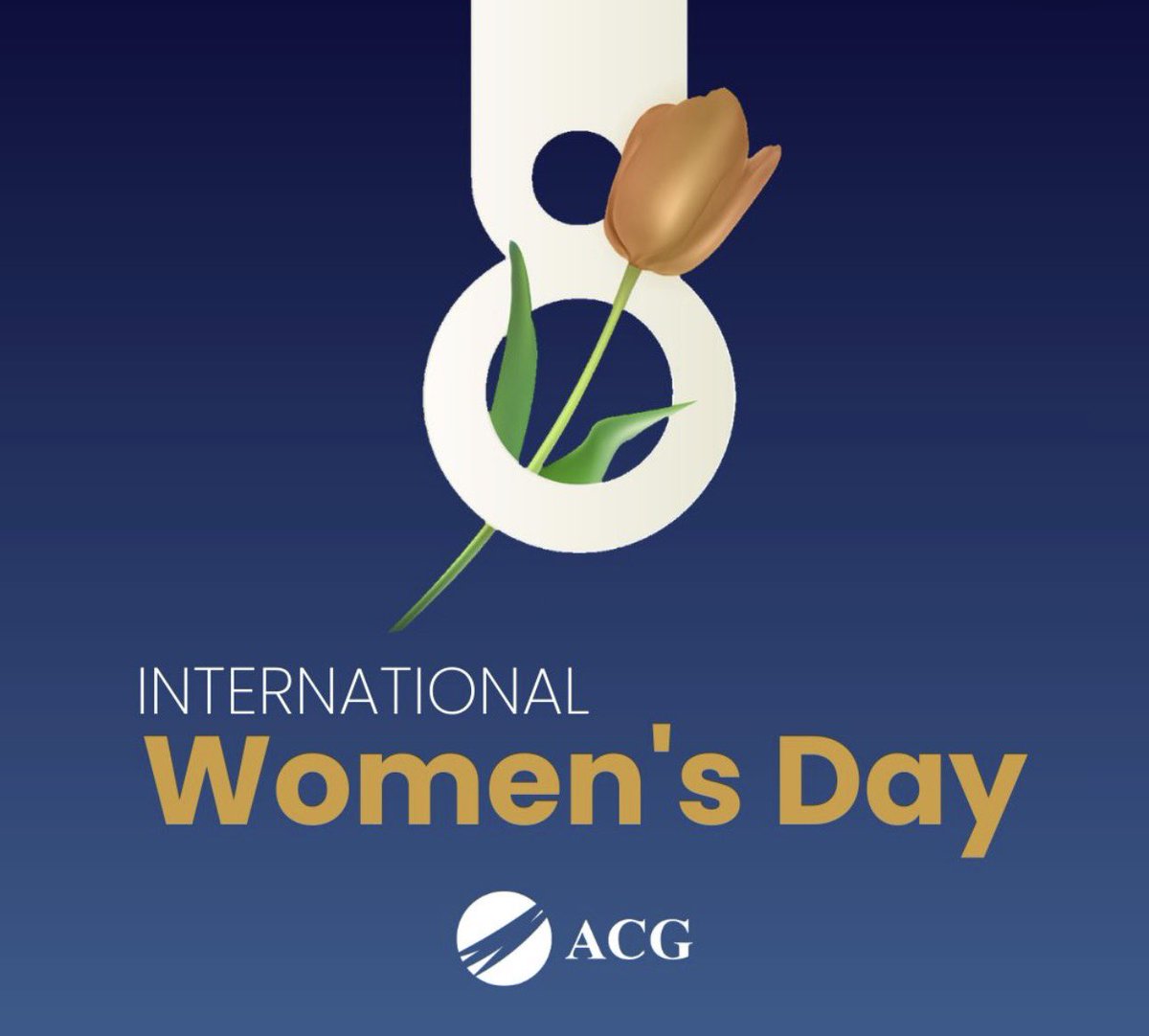 ACGMetals tweet media