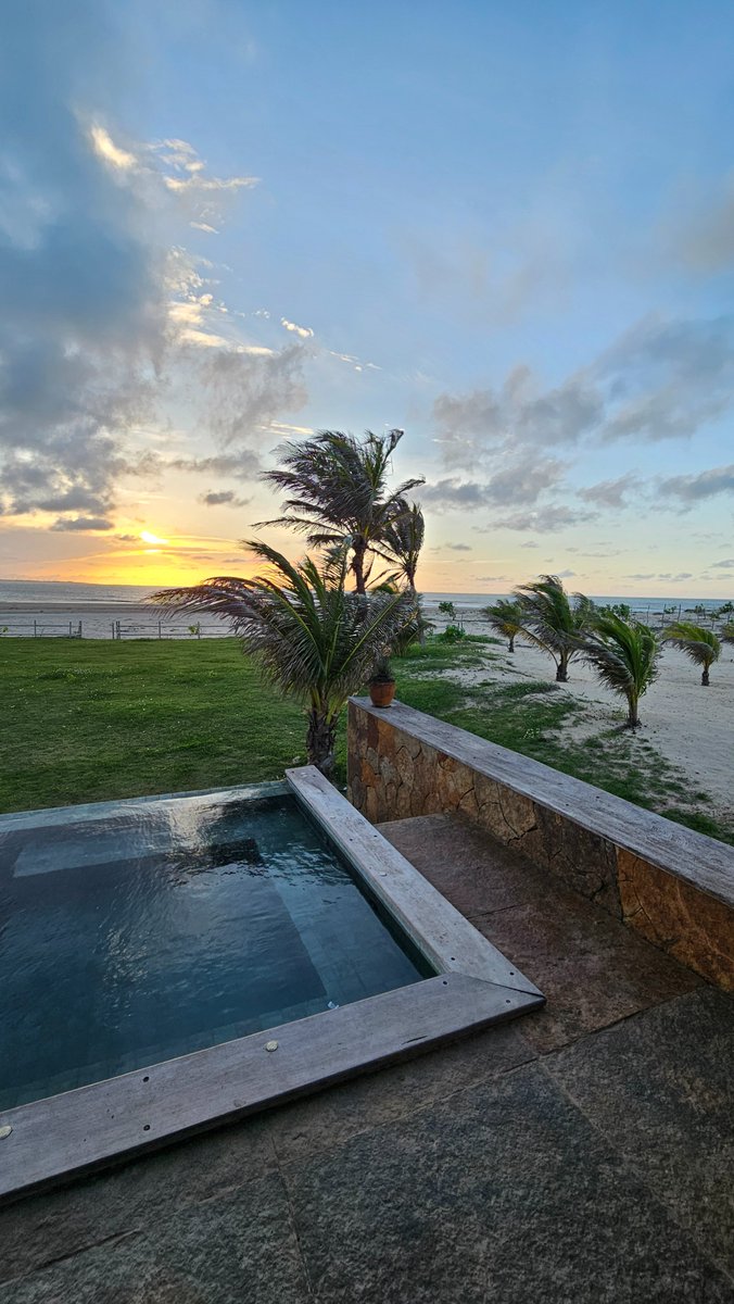 Daniel Scott tweet media