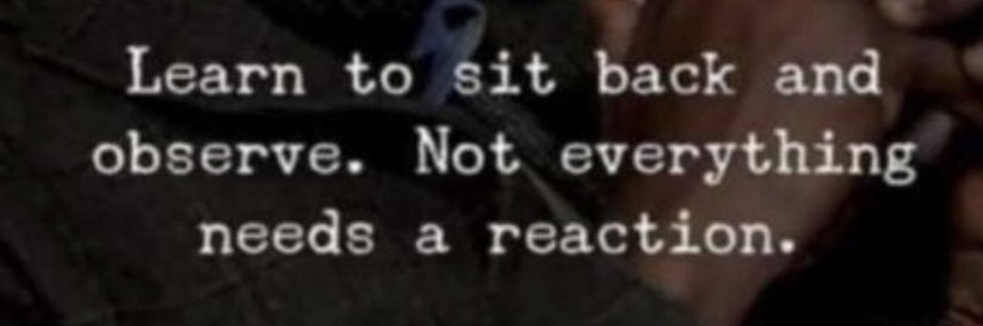 International Cables Network tweet media