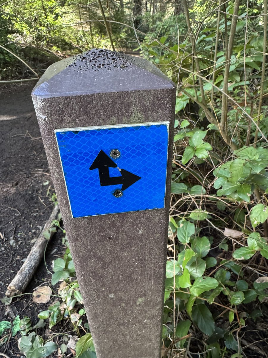 4eyedmonkey 🤓😎🥸 tweet media