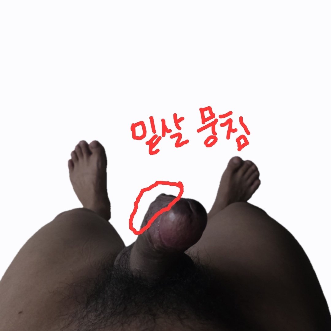 펌프맨2 tweet media