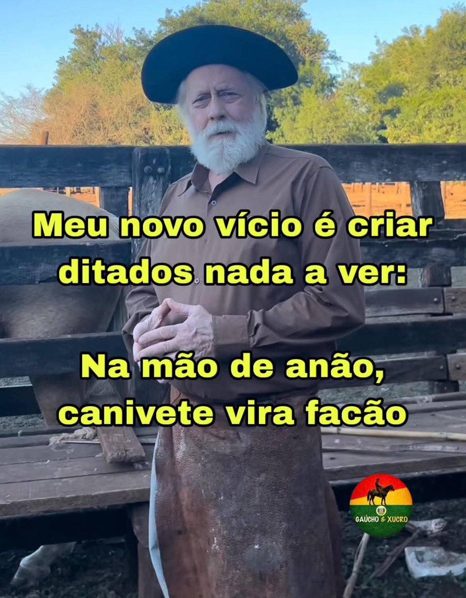 Prof. Paullo tweet media