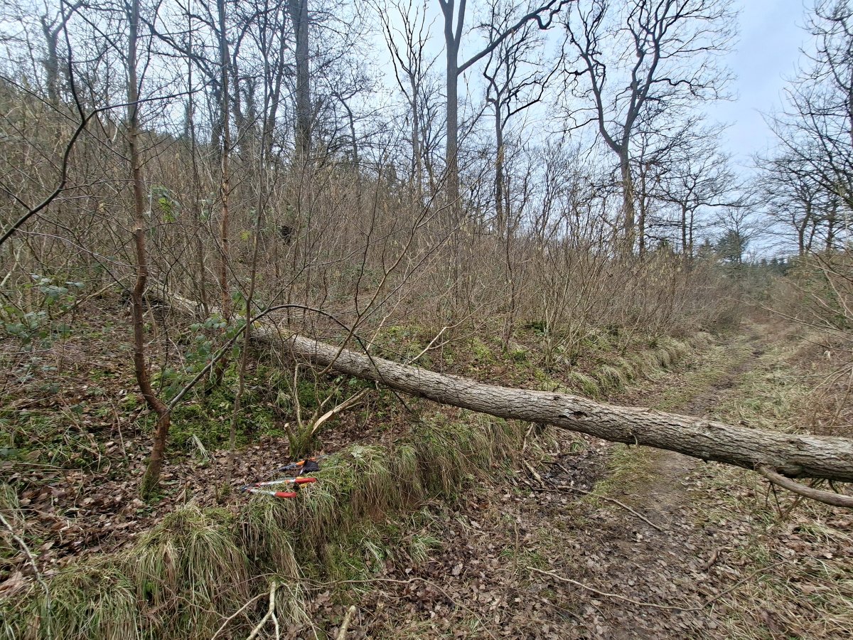 Dave O'Brien tweet media