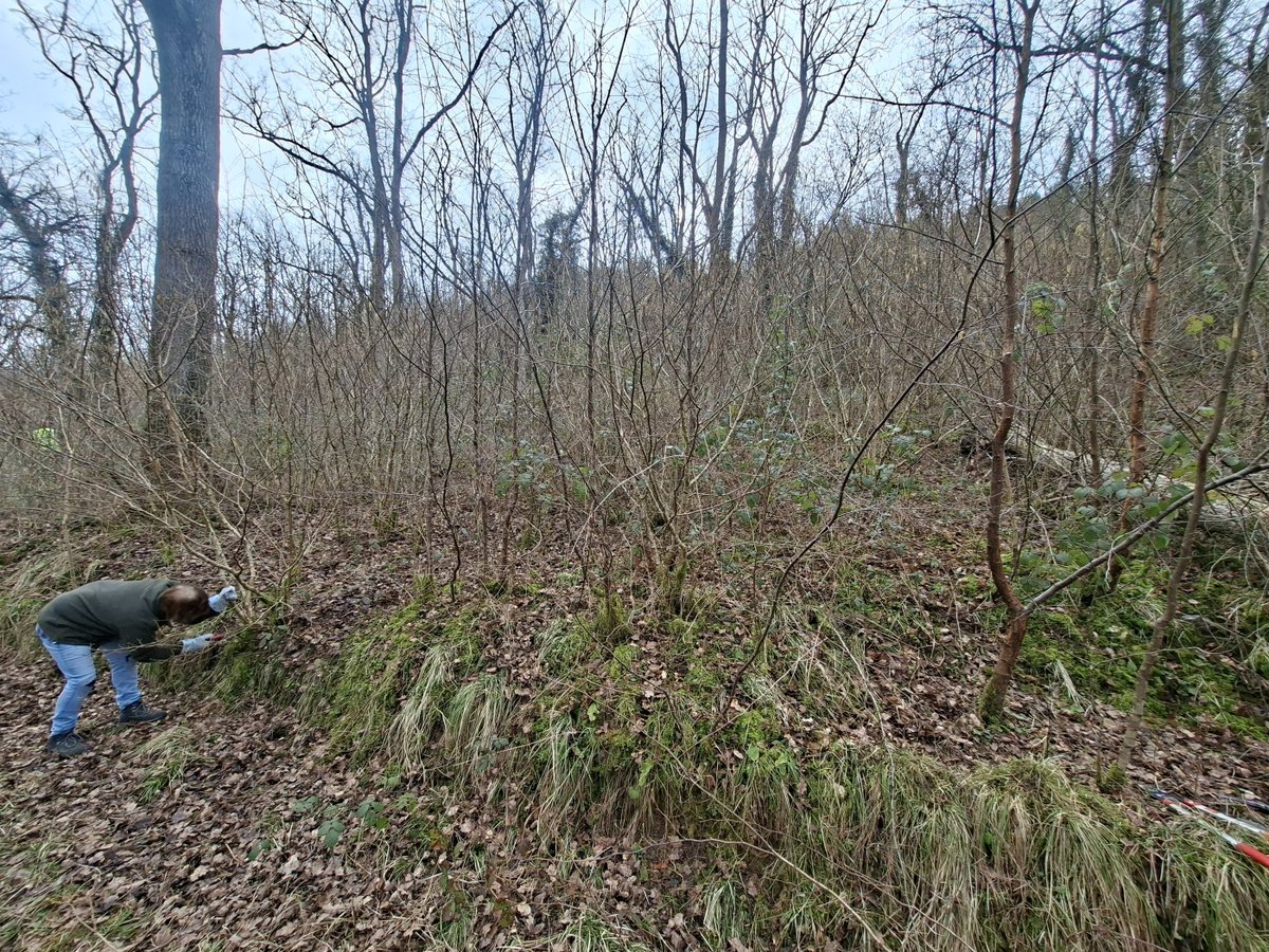 Dave O'Brien tweet media