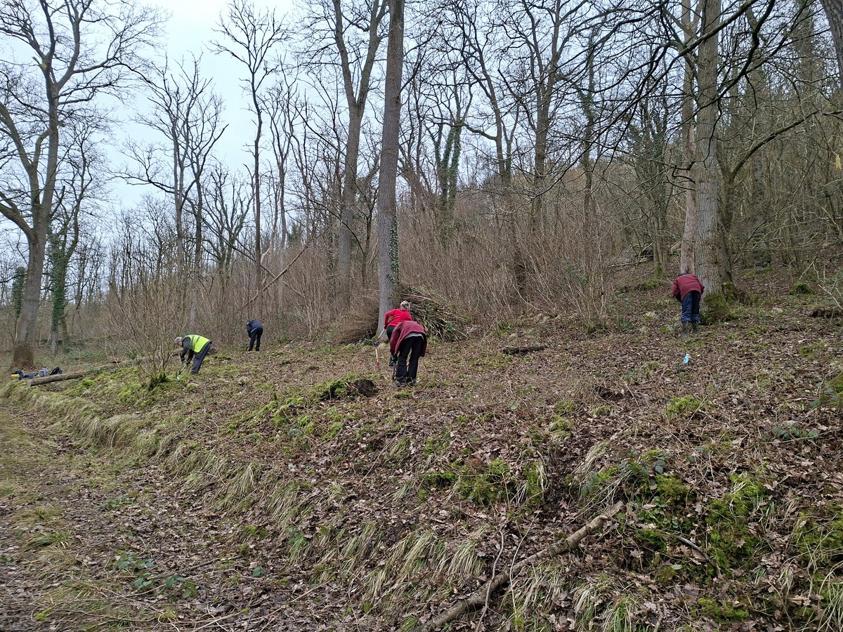 Dave O'Brien tweet media