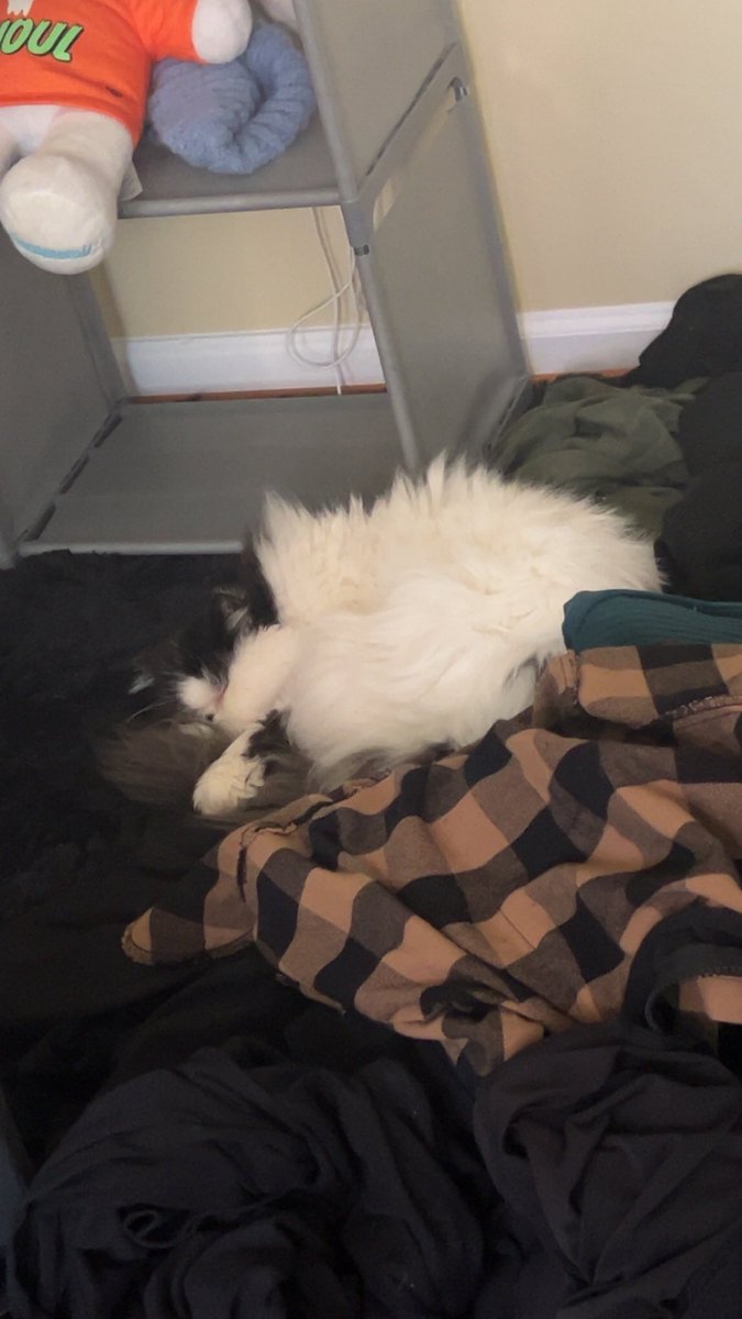 skip ♡ tweet media