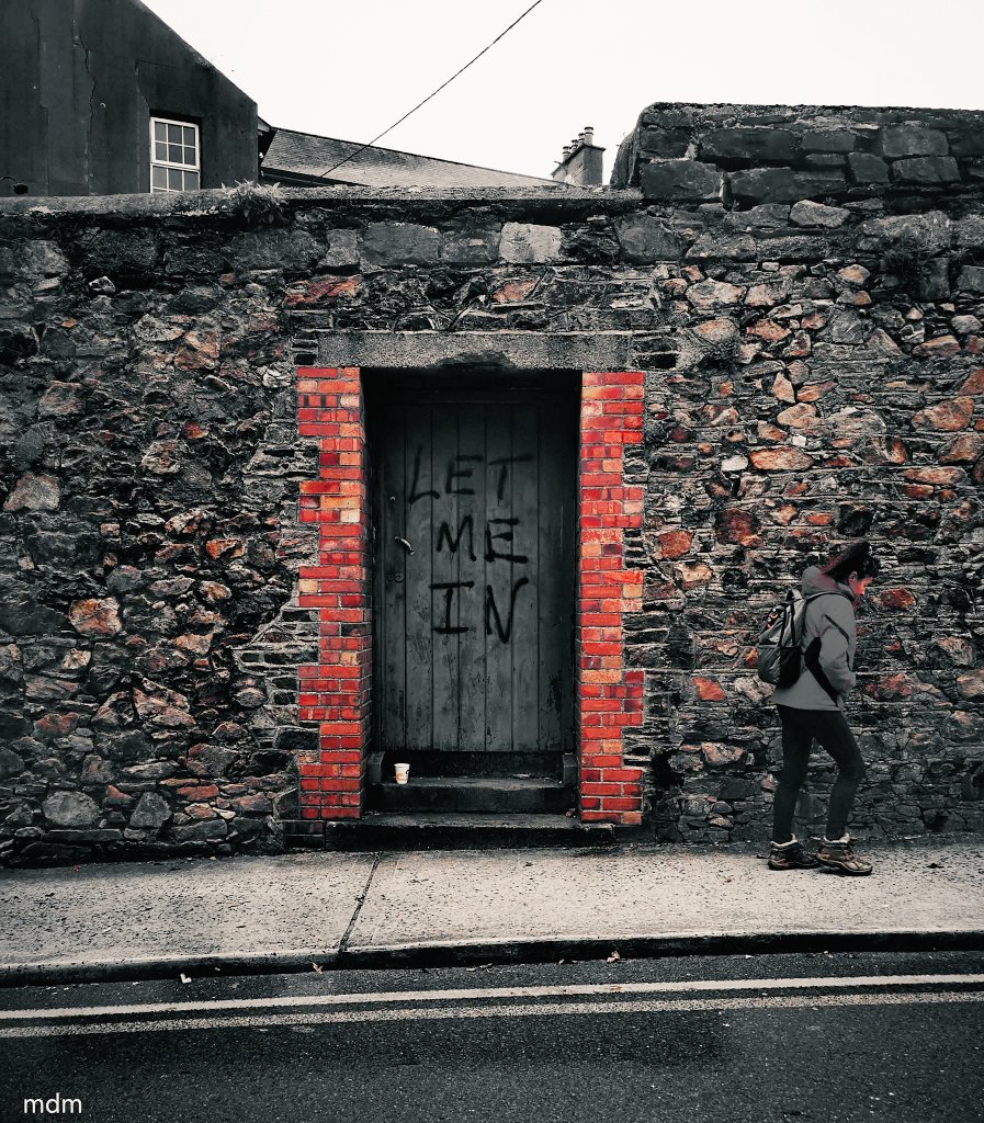 Michelle Dooley Mahon (mdm) tweet media