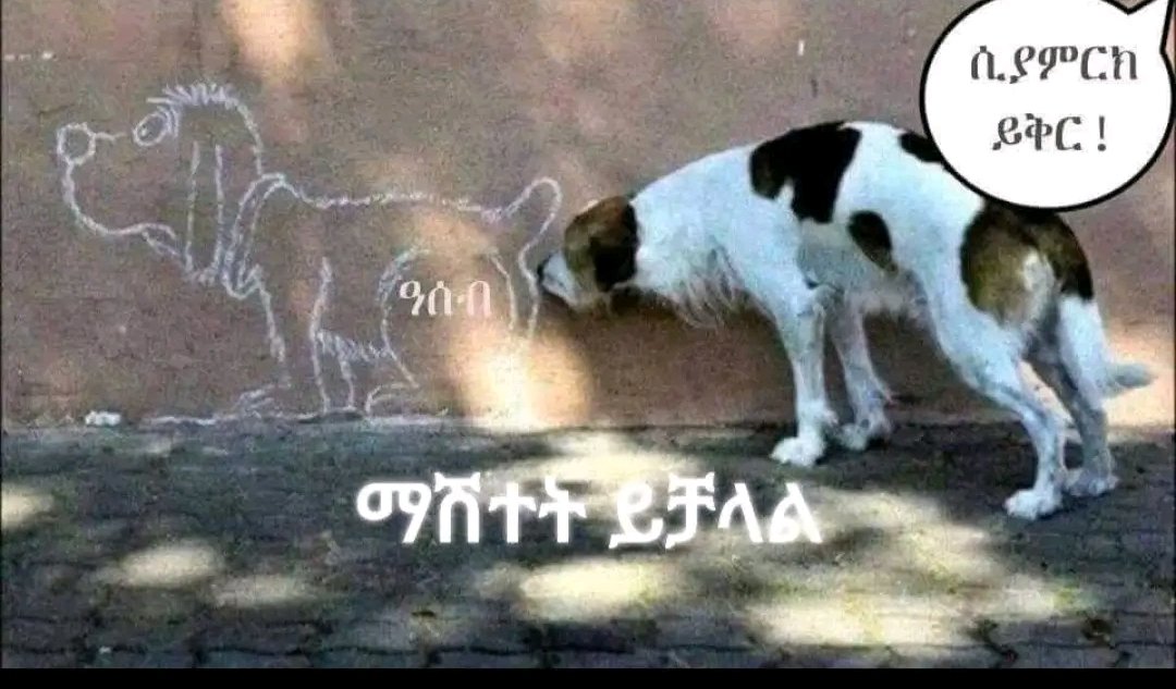 abou_alaa3's tweet photo. @DerejeGerefa https://t.co/l0CKYQEk9r