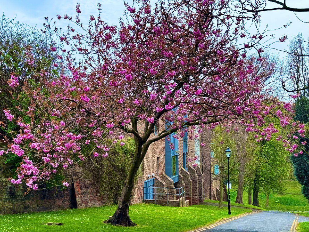 Jocaccia tweet media