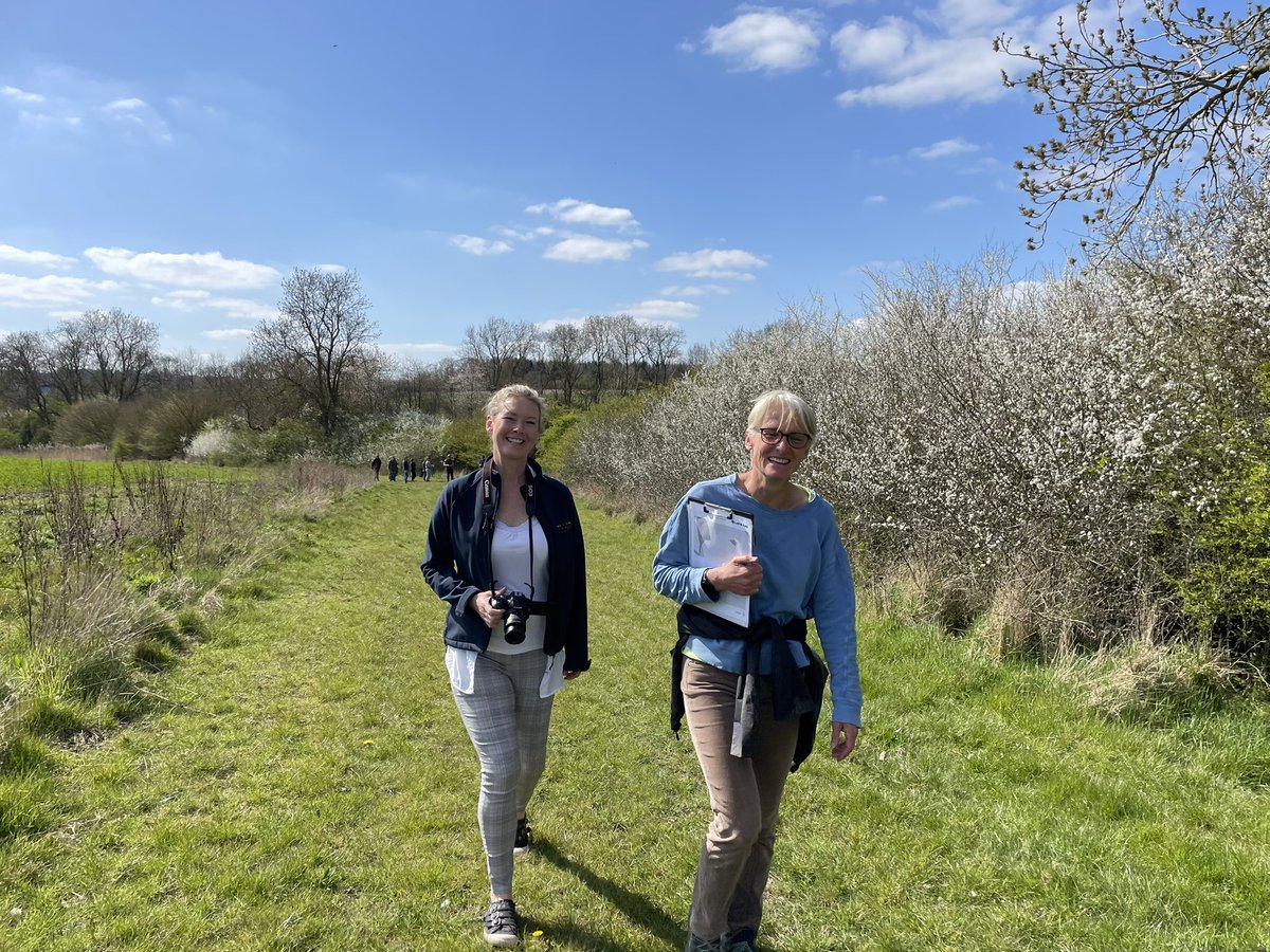 The Allerton Project tweet media