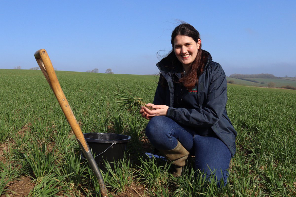 The Allerton Project tweet media