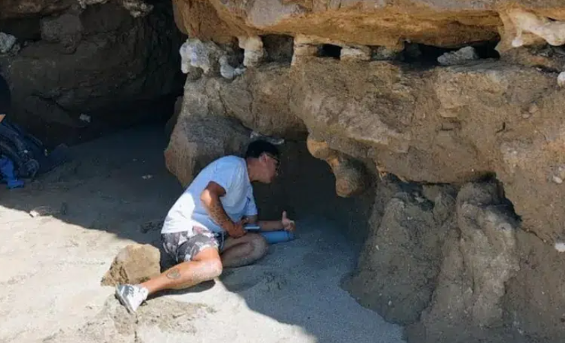 PaleontologieFr's tweet image. ⛏️
Une découverte paléontologique en Argentine 🇦🇷 révèle des restes de #mégafaune qui habitait la région il y a 400 000 ans !
Deux touristes ont trouvé des restes #fossiles appartenant à un énorme #paresseux préhistorique. 🦥
#Pléistocène 

noticiasambientales.com/science-fr/une…