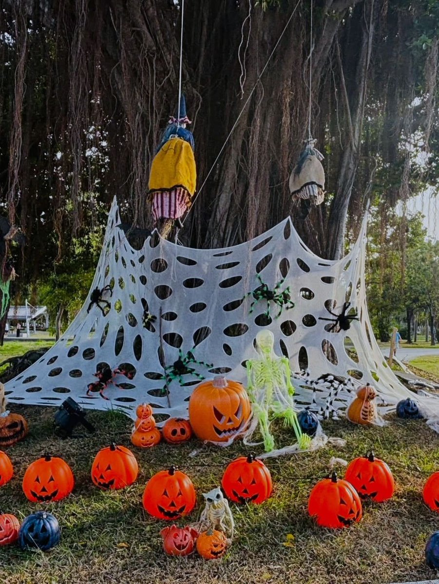 rain1021(ときどきミュウ) tweet media