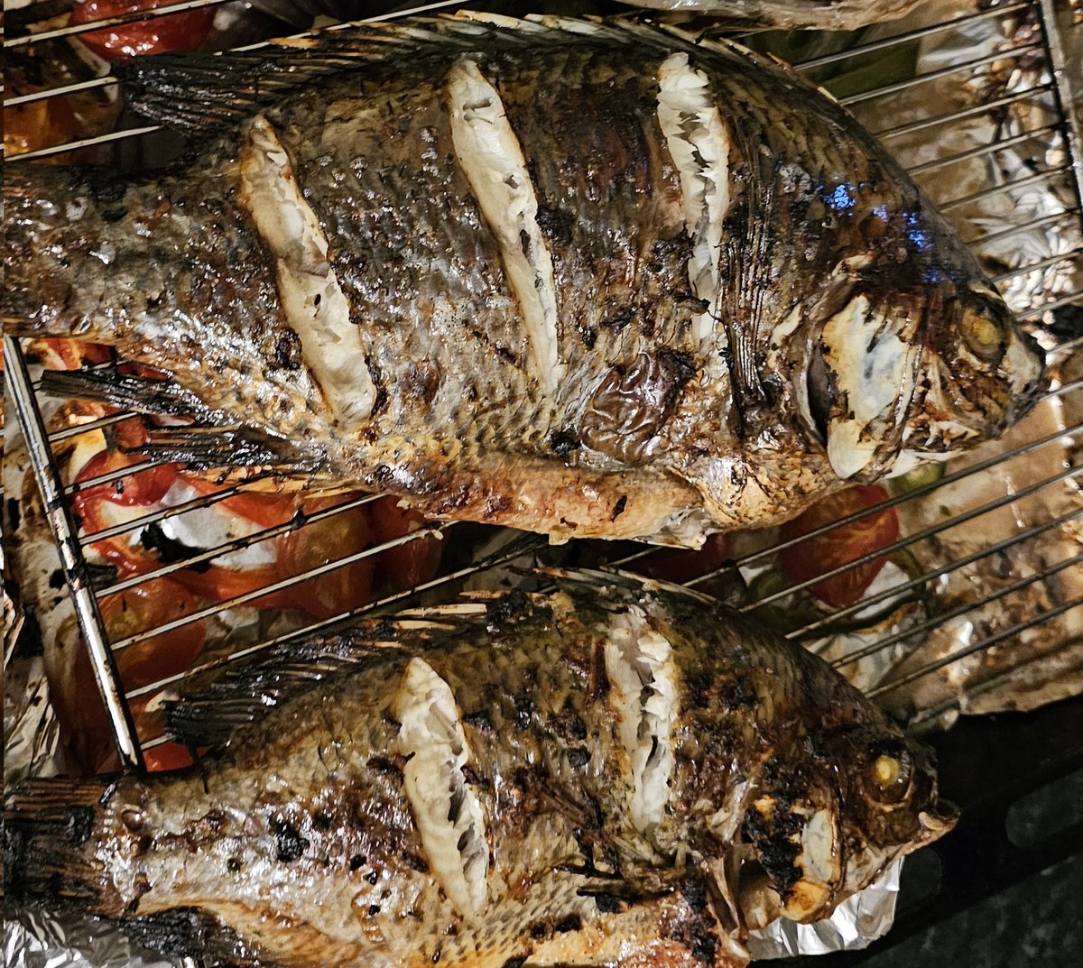 Dr² Hillary Musarurwa, PhD tweet media