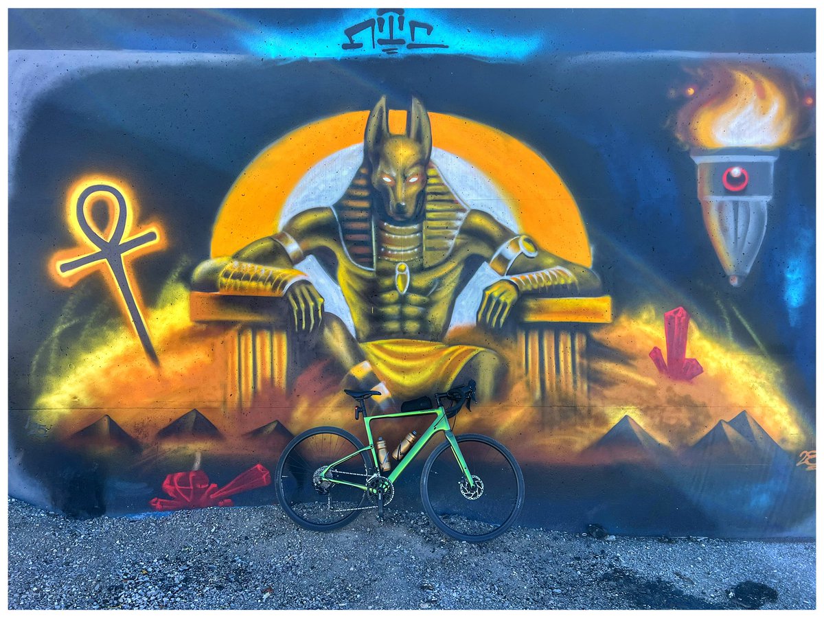 Todd Morgan tweet media