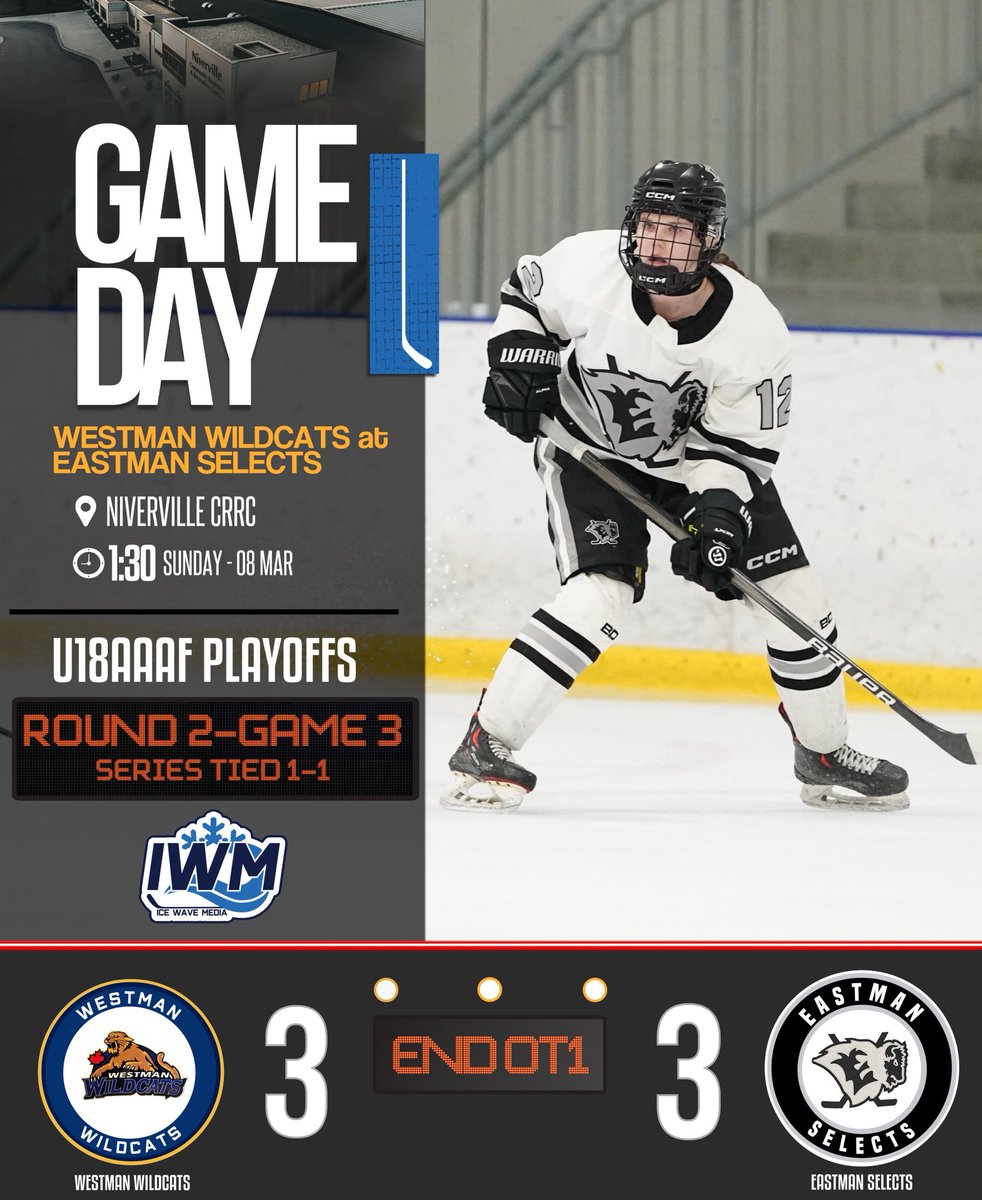 Ice Wave Media 🥅 tweet media