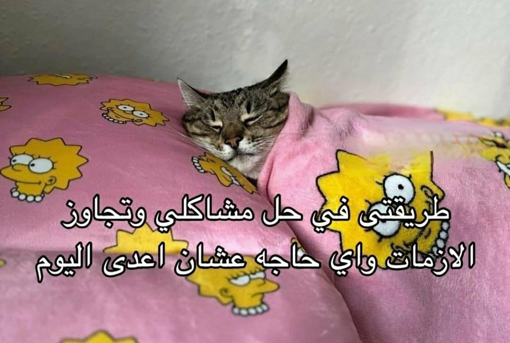 مريم (@mc_3i) on Twitter photo 