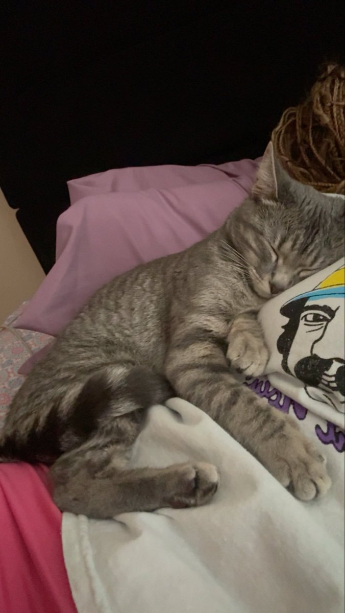 QweenBee tweet media