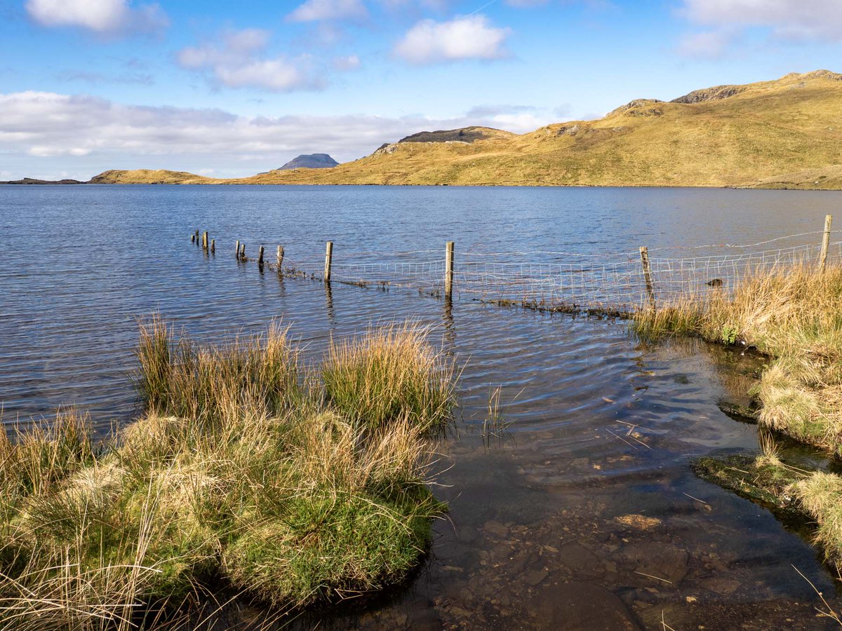 Fishing In Wales 🏴󠁧󠁢󠁷󠁬󠁳󠁿 tweet media